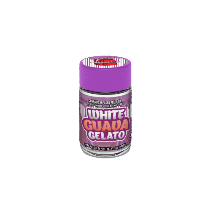 White Guava Gelato Infused Preroll 5-Pack - Image 1
