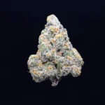 Connected | Jack of Diamonds | Hybrid | 3.5g Premium Indoor Flower | Jack Herer x Biscotti By Connected Cannabis Co