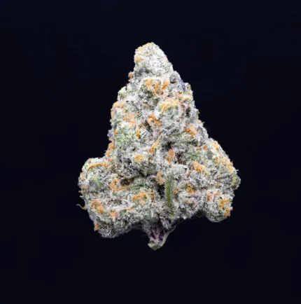 Connected | Jack of Diamonds | Hybrid | 3.5g Premium Indoor Flower | Jack Herer x Biscotti By Connected Cannabis Co