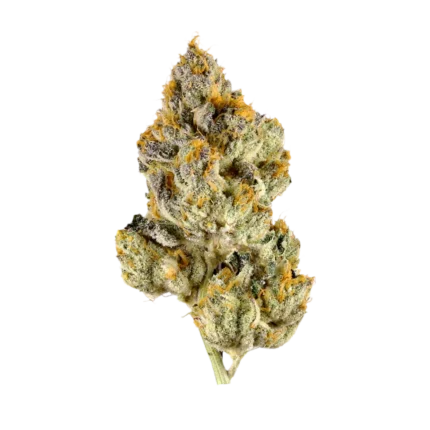 Jet Fuel Oz (Indica) By Leaf Dreams