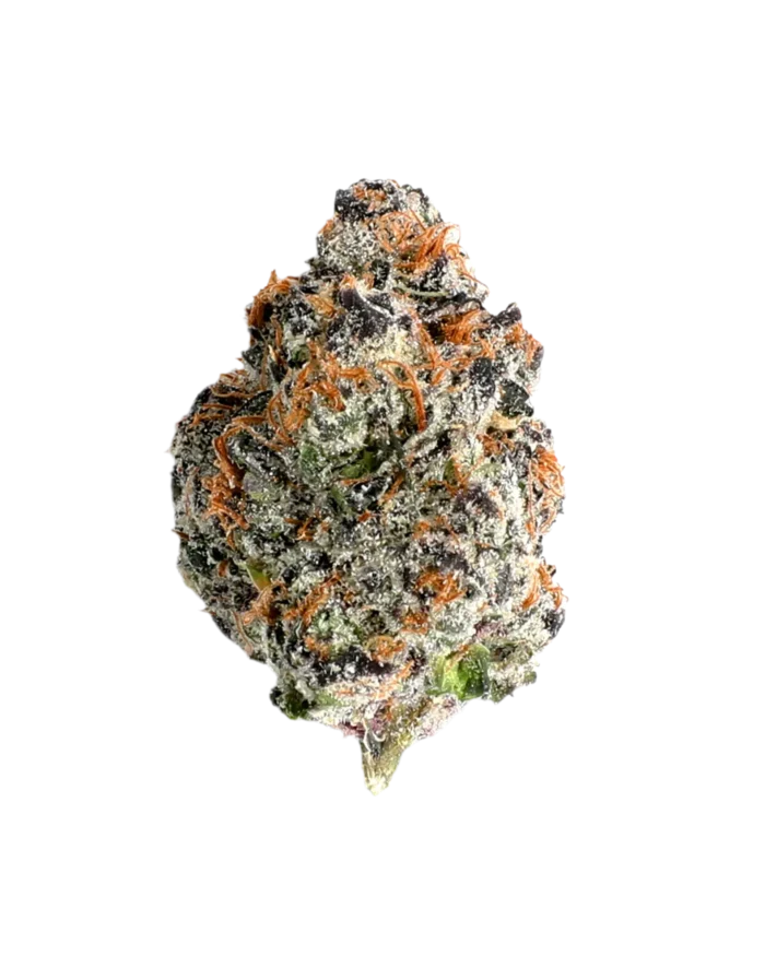 Candy Poppers (Hybrid) By Leaf Dreams - Image 1