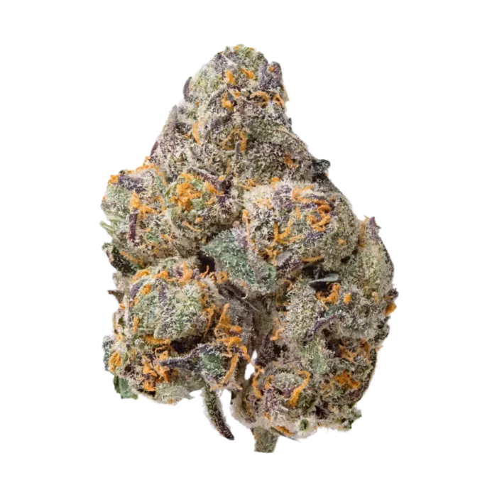 Rainbow Snowman 1/4oz (Hybrid) By Leaf Dreams - Image 1