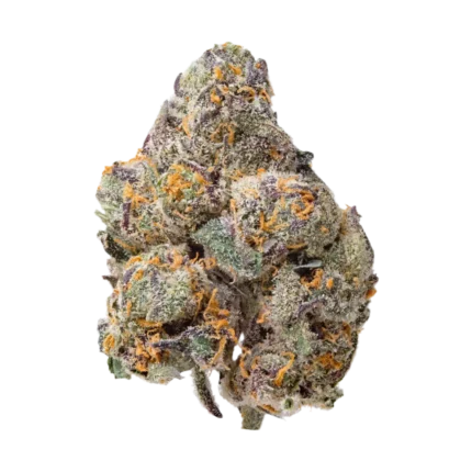 Rainbow Snowman Oz (Hybrid) By Leaf Dreams