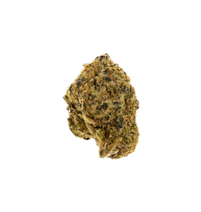 Sudz (Hybrid) By Leaf Dreams - Image 1