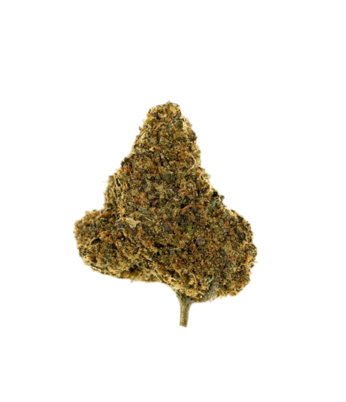 Double Scoop (Hybrid) By Leaf Dreams - Image 1