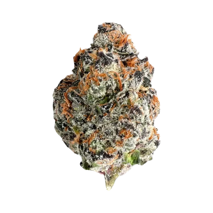 Candy Poppers Oz (Hybrid) By Leaf Dreams - Image 1