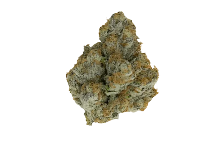 White Gummiez (Hybrid) By Leaf Dreams - Image 1