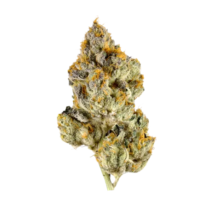 Jet Fuel (Indica) By Leaf Dreams - Image 1